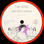 Perfect Place (toucan sounds Edition) - Single