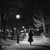 After Everything Went Quiet