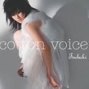 cotton voice