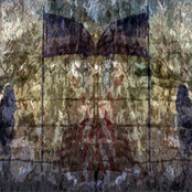 Collateral Damage, Pt. I