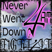4am/ Never Went Down - Single