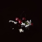 Malibu: Lost At Sea (Kelly Moran Remix)