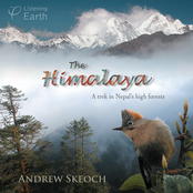The Himalaya - A Trek in Nepal's High Forests