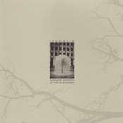 Surrogate Emotions Of The Silver Screen