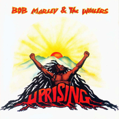 Coming In From The Cold by Bob Marley & The Wailers