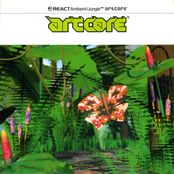 Artcore: Ambient/Jungle