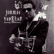 Jimmie Vaughan: Strange Pleasure