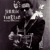 Jimmy Vaughn: Strange Pleasure