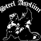 steel asylüm