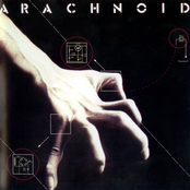 Arachnoid