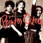 See How The Love Goes by The Pointer Sisters