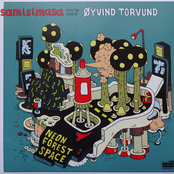 Neon Forest Space – Asamisimasa Plays the Music of Øyvind Torvund