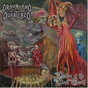 A Forest Of Gore by Drawn And Quartered