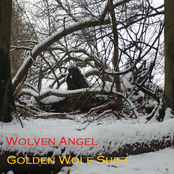 Golden Wolf Shift