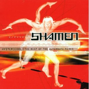 Hystericool: The Best of the Alternate Mixes