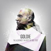 the alchemist: the best of goldie 1992-2012