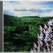 I Have A Hollow, Shaking Voice