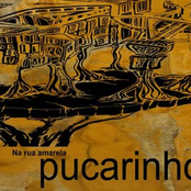 Pucarinho