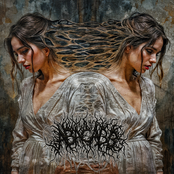 Abacabb: 2004-2008 Demos