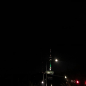 Swallowtail Butterfly