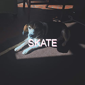 Skate