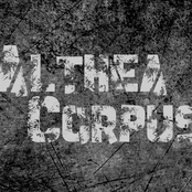 althea corpus