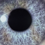 Moontower (Remaster 2026)