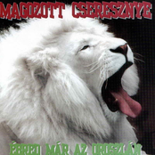 Ébred már az oroszlán