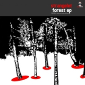 [owo004] forest ep