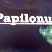 Papilonus