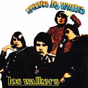 Nosotros Los Walkers