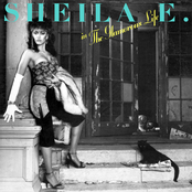 Shelia E: The Glamorous Life