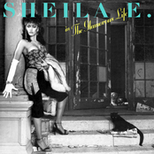 Sheila E: The Glamorous Life