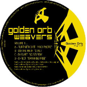 Golden Orb Weavers Volume 1