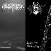 Lurking In The Northern Bog / Méandres De l'enlisement