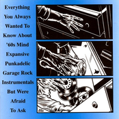 Everything You Always Wanted To Know About 60's Mind Expansive Punkadelic Garage Rock Instrumentals But Were Afraid To Ask