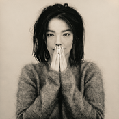 Bjork: Debut