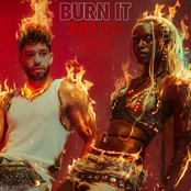 BURN IT