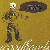 I Wasn't Made for Fighting