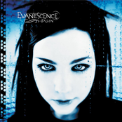 Everybody's Fool by Evanescence