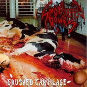 Crushed Cartilage (EP)
