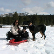 song for maximus leonidas