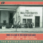 The Walter Davis Project