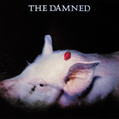 The Damned: Strawberries (Deluxe Edition)