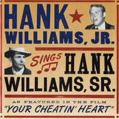 Cold Cold Heart by Hank Williams Jr.