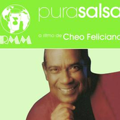 Pura Salsa