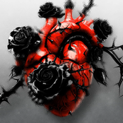 Замкнені криві