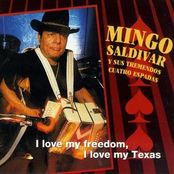 I Love My Freedom, I Love My Texas