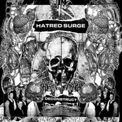 Maladjusted by Hatred Surge