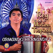 armando hernandez